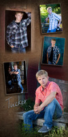 Seniors