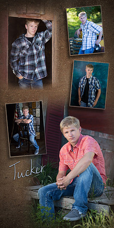 Tucker_collage 2